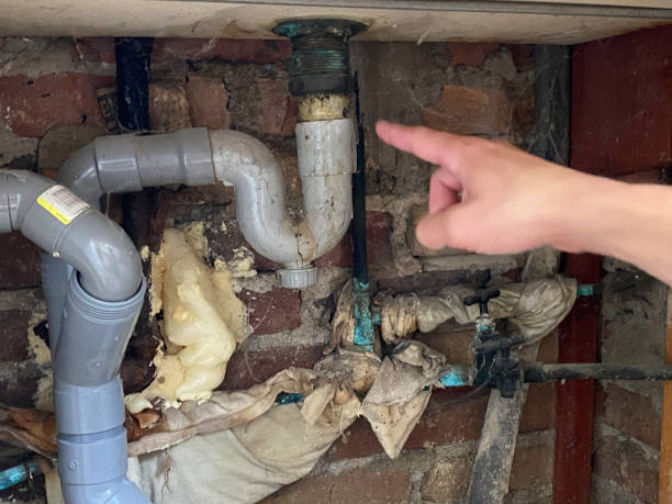 Best Flood damage cleanup  in Harlan, IN