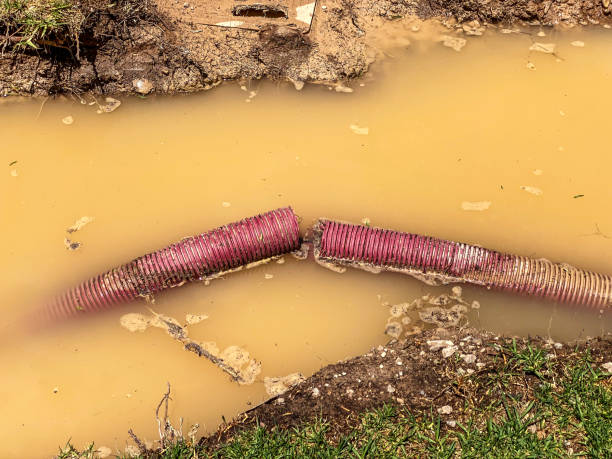 Best 24/7 water damage repair  in Harlan, IN